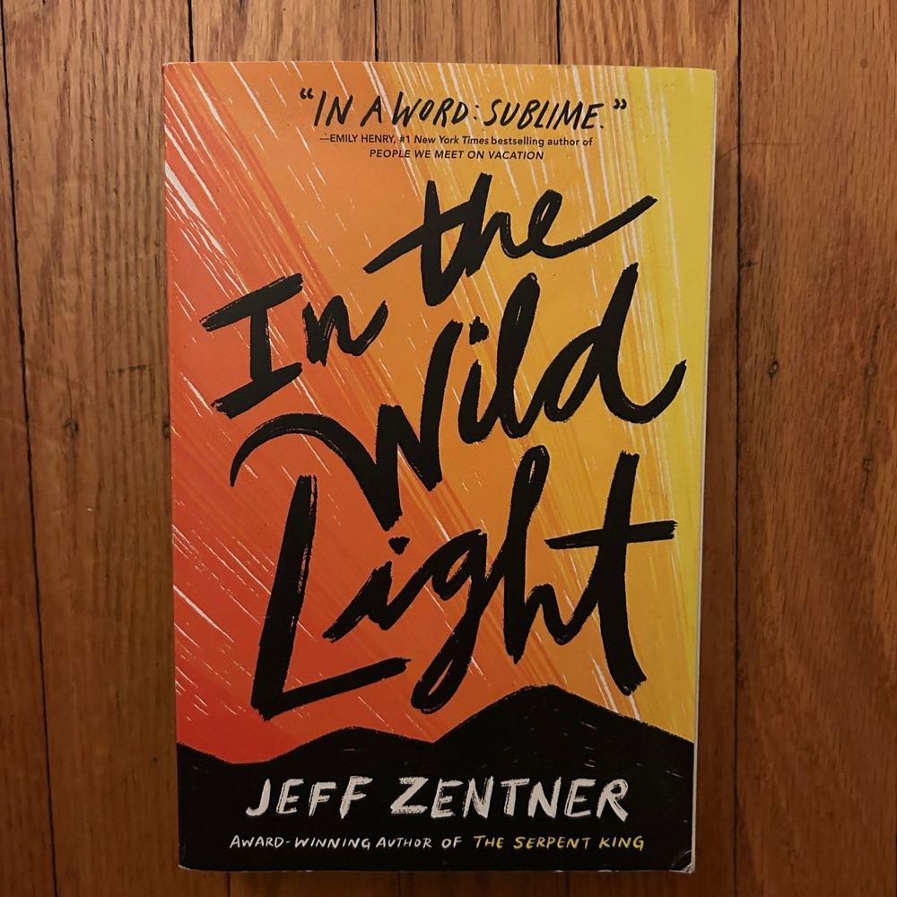 In the Wild Light by Jeff Zentner Paperback YA Contemporary Fiction Novel